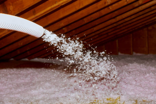 Best Geographic-Specific Insulation Services in Cairo, GA